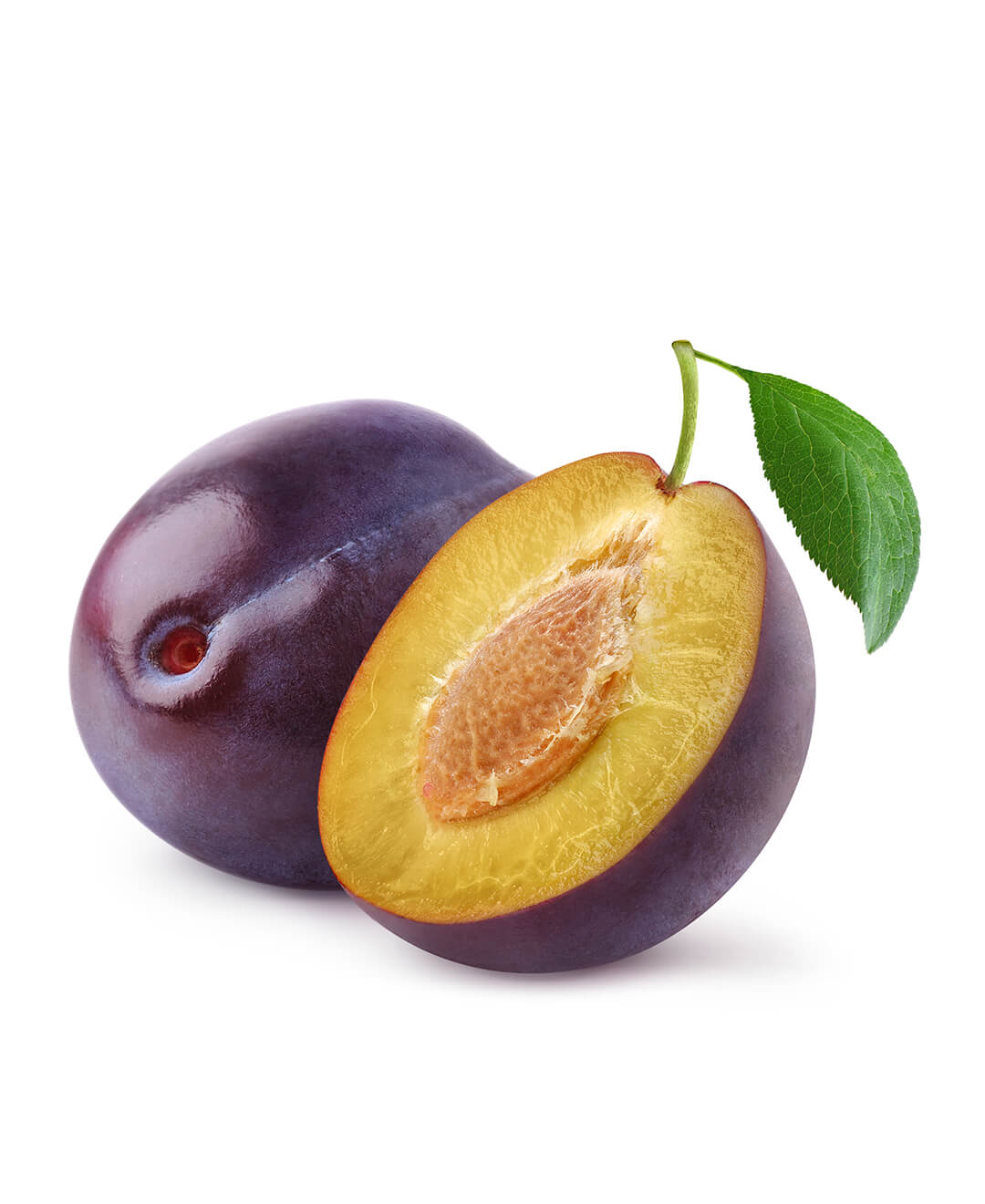 15 Plum