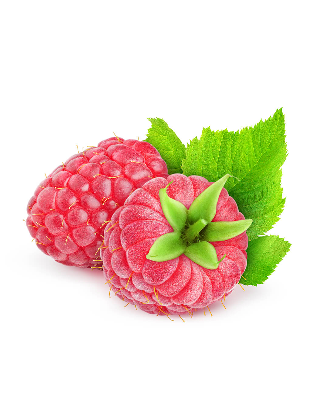 16 Raspberries